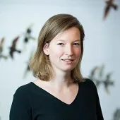 Vernieuwing (mede)zeggenschap