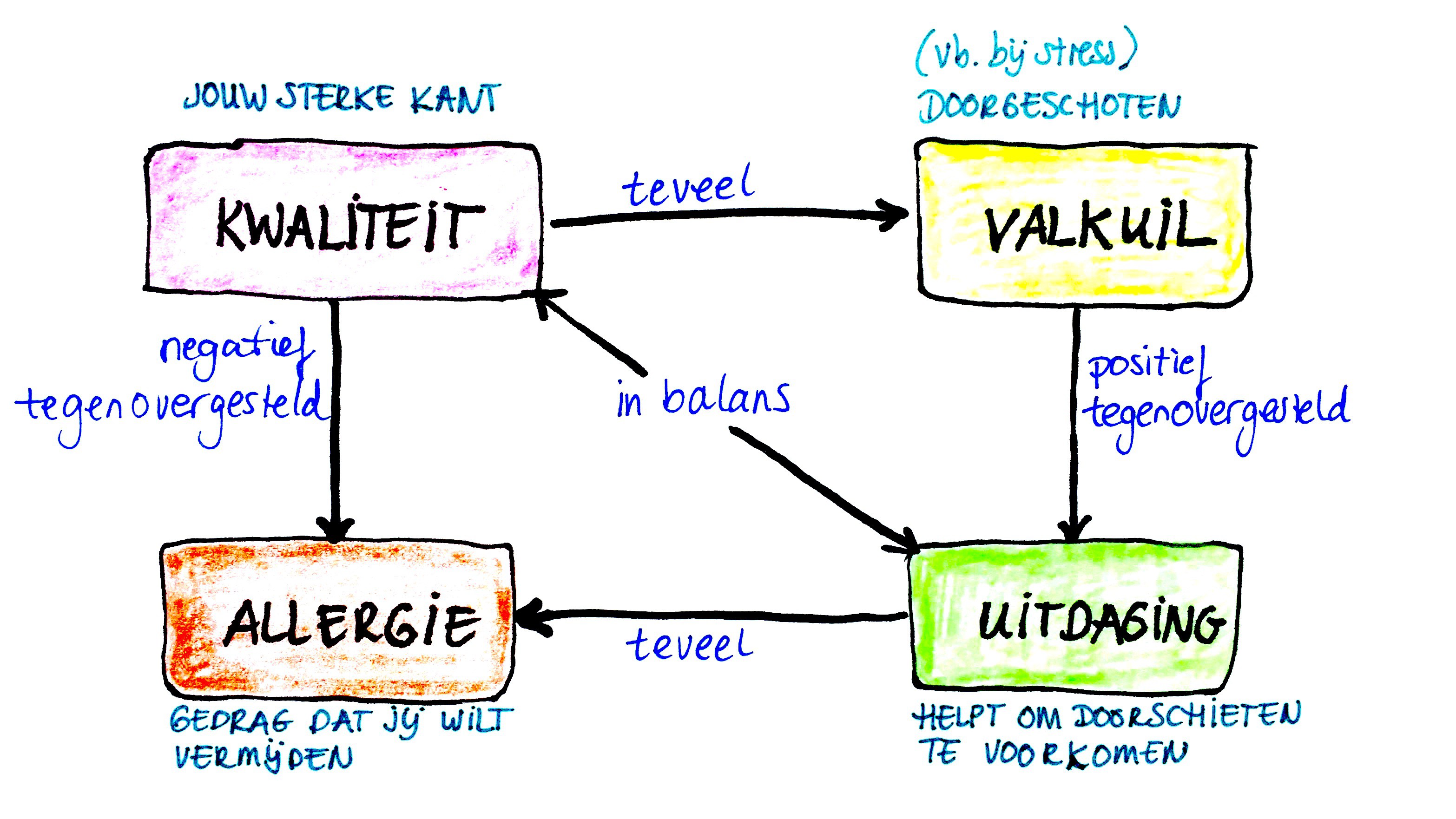Jouw ondernemingsraad functioneert beter als jullie alle talenten benutten.